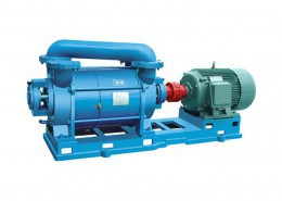 water ring vacuum pump